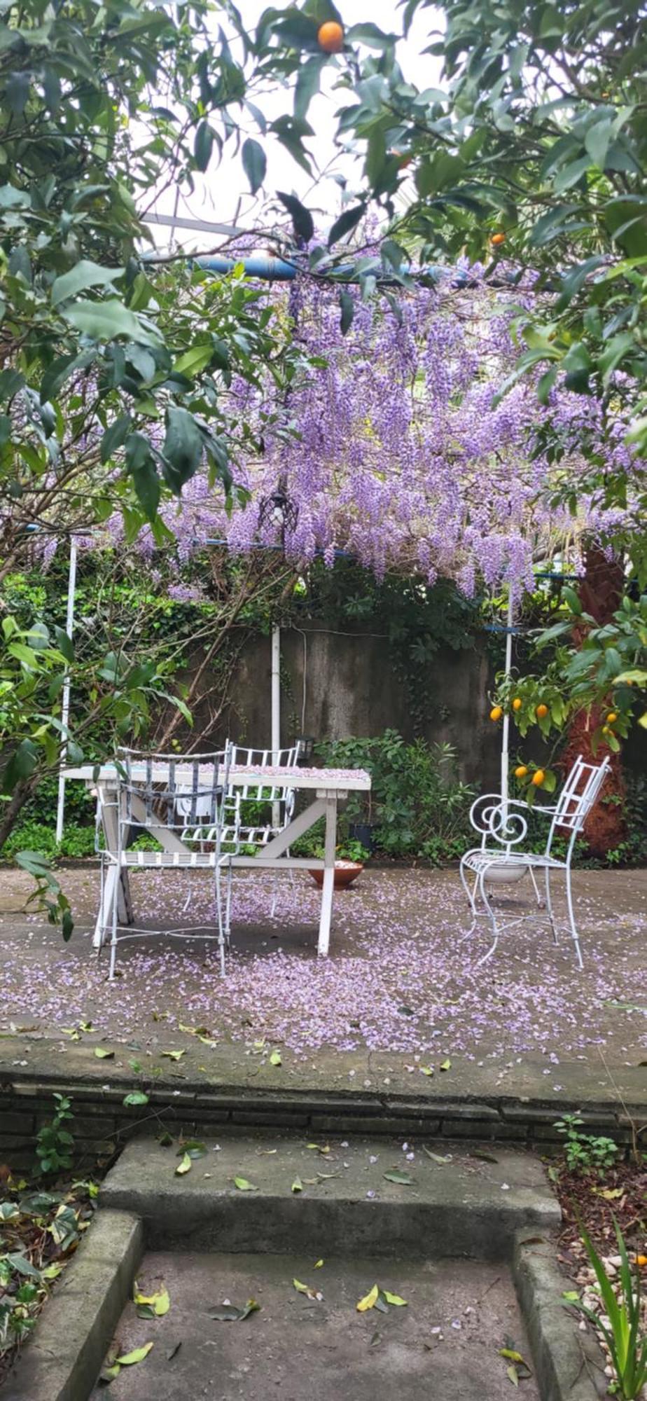 Studio Apartman Meljine Luaran gambar